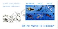 Antarctic food chain