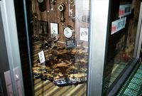 Petrified wood in a clock shop